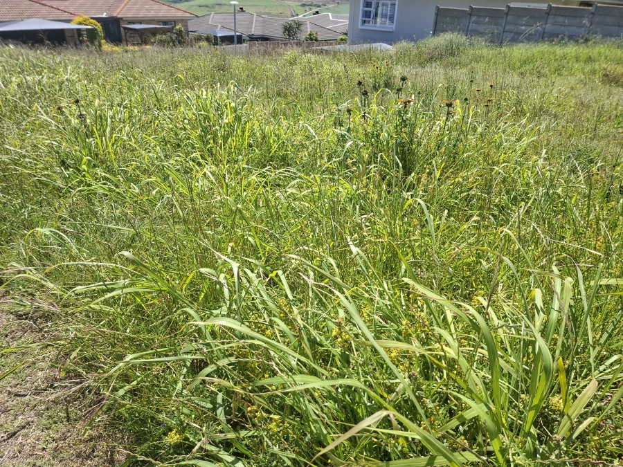 0 Bedroom Property for Sale in Reebok Western Cape